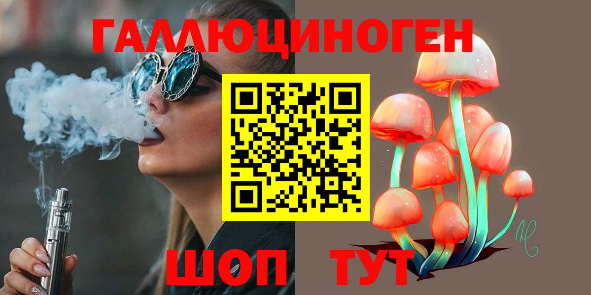 Тосно  Псилоцибиновые грибы Psilocybine cubensis  Вход с VPN 