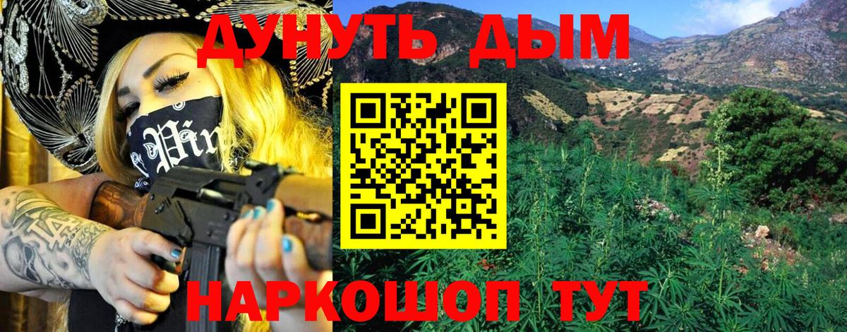 Тосно  Канабис планчик  Бошки Шишки OG Kush  Марихуана VHQ  Вход с VPN 